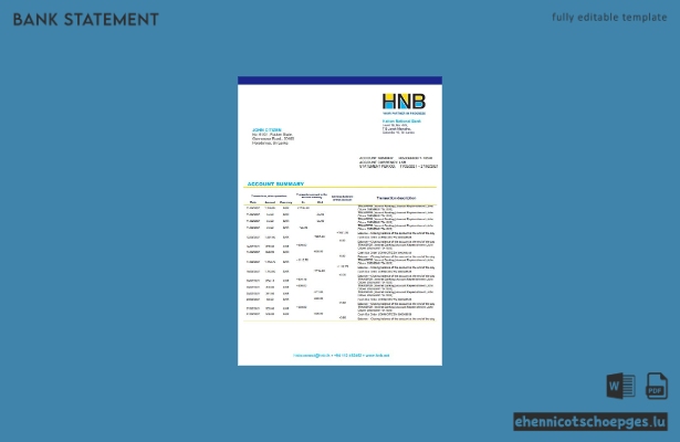 Sri Lanka Hatton National Bank Kontoauszug Beispielvorschau